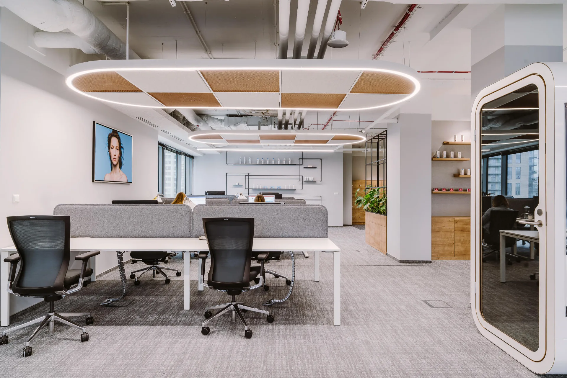 Open-plan office with large oval suspended ceiling luminaires framing timber acoustic panels above white desks
